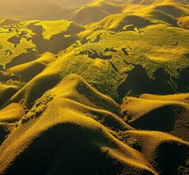 Wo wachsen Kaffeebohnen